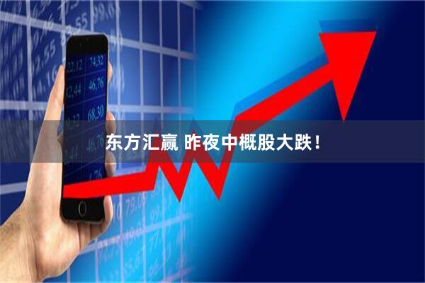 东方汇赢 昨夜中概股大跌！