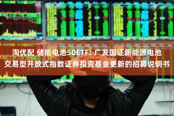 淘优配 储能电池50ETF: 广发国证新能源电池交易型开放式指数证券投资基金更新的招募说明书