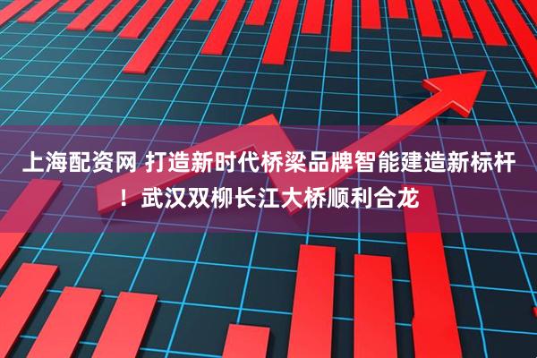 上海配资网 打造新时代桥梁品牌智能建造新标杆！武汉双柳长江大桥顺利合龙
