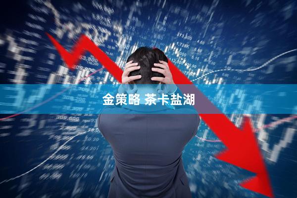 金策略 茶卡盐湖