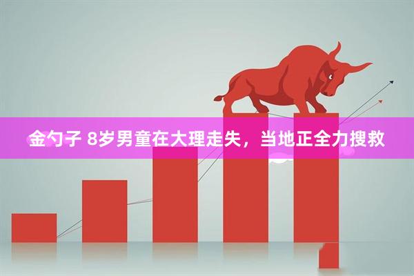金勺子 8岁男童在大理走失，当地正全力搜救