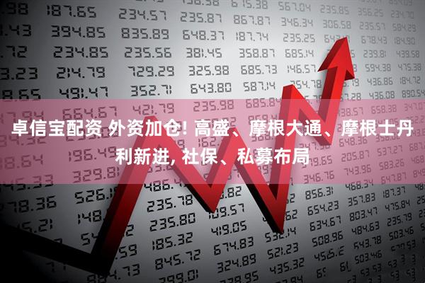 卓信宝配资 外资加仓! 高盛、摩根大通、摩根士丹利新进, 社保、私募布局