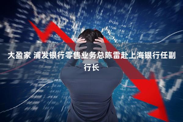 大盈家 浦发银行零售业务总陈雷赴上海银行任副行长